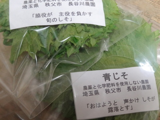 DSC07579.JPG