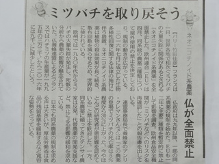 DSC07594.JPG