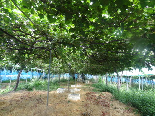 DSC07625.JPG