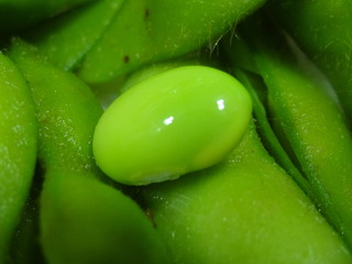 DSC07702.JPG