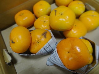 DSC07703.JPG