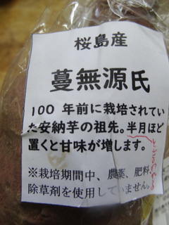 DSC07896.JPG