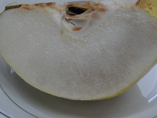 DSC07956.JPG