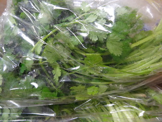 DSC08030.JPG