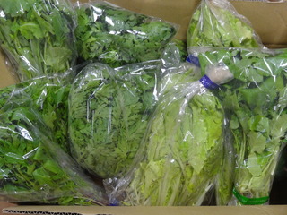 DSC08032.JPG
