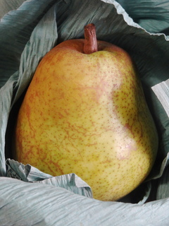 DSC08073.JPG