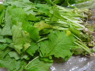 DSC08075.JPG