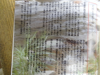DSC08083.JPG