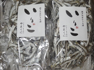 DSC08085.JPG