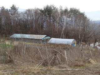 DSC08259.JPG