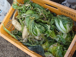 DSC08265.JPG
