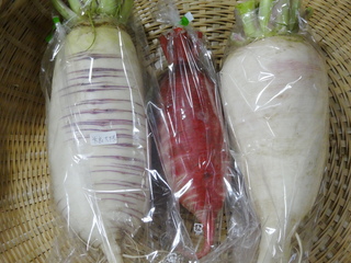 DSC08310.JPG