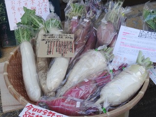 DSC08313.JPG