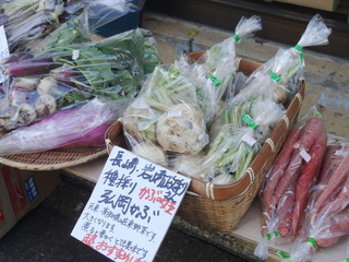 DSC08314.JPG