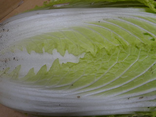 DSC08360.JPG