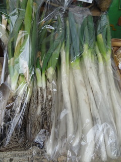 DSC08361.JPG