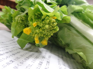 DSC08460.JPG