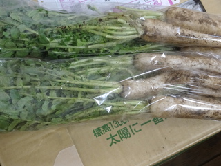 DSC08462.JPG