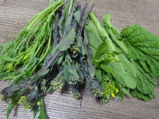 DSC08545.JPG
