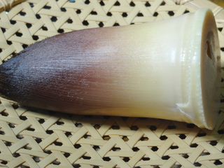 DSC08599.JPG