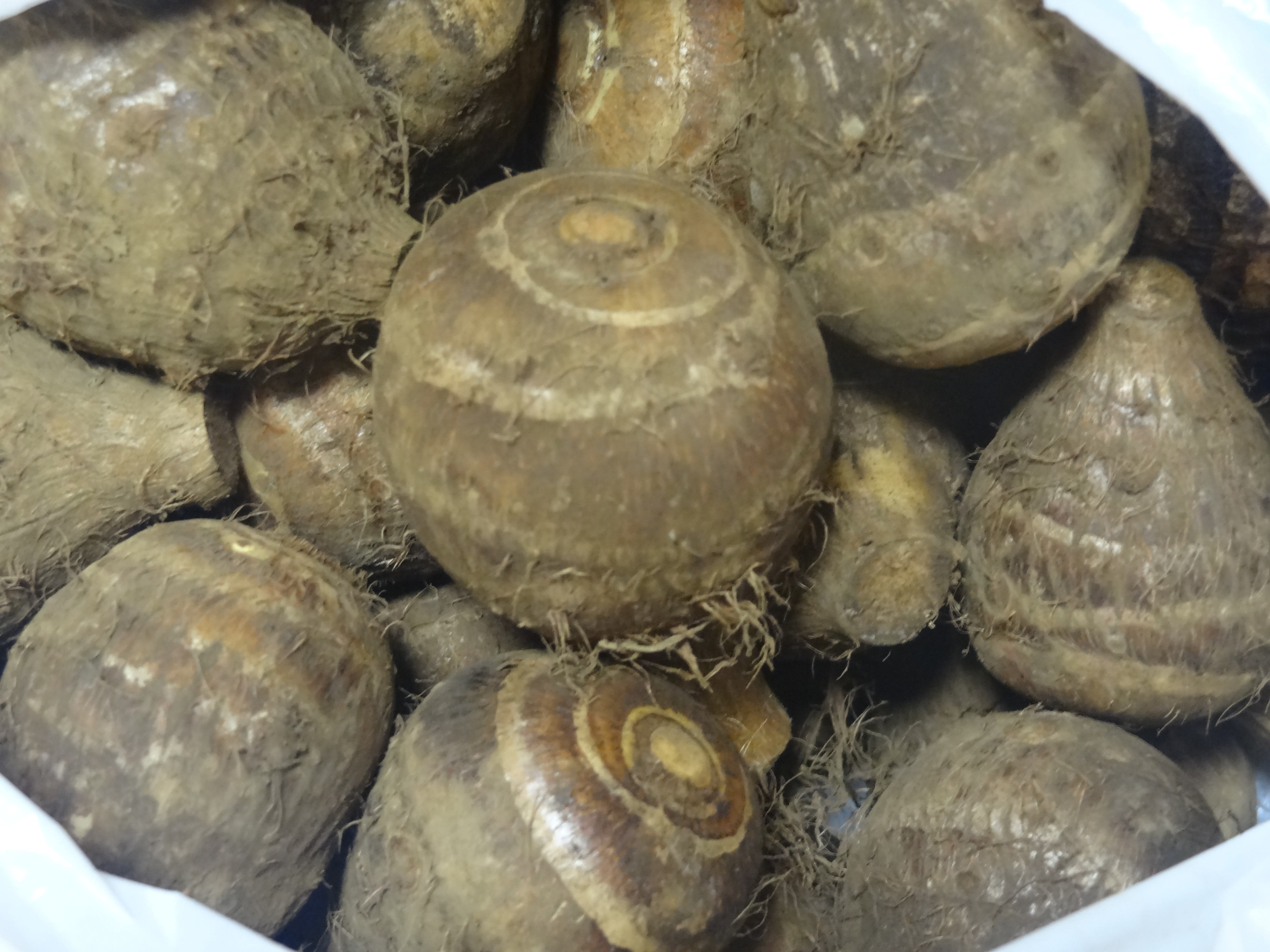 飯田さんの芋 自然村の美味しいブログ