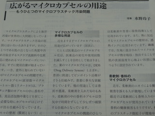 DSC08693.JPG