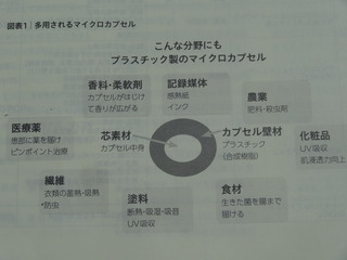 DSC08700.JPG