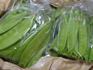 DSC08707.JPG