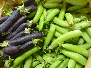 DSC08724.JPG