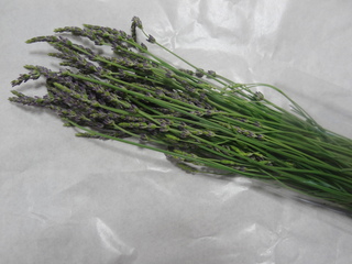 DSC08770.JPG