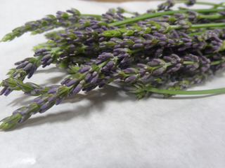 DSC08771.JPG