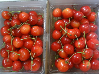 DSC08785.JPG