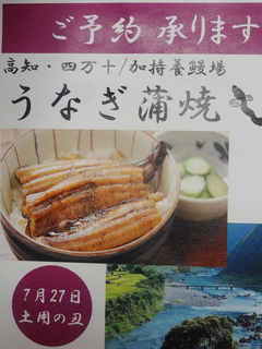DSC08789.JPG