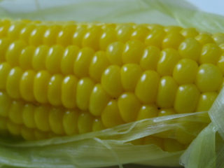 DSC08811.JPG