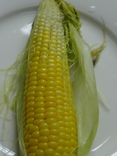 DSC08812.JPG