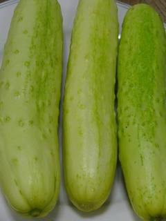 DSC08828.JPG