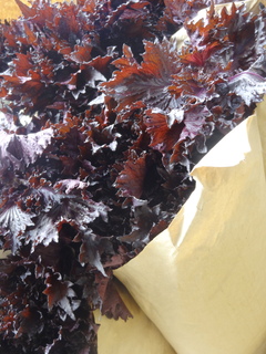DSC08836.JPG