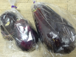 DSC08839.JPG