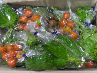 DSC08840.JPG