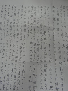 DSC08853.JPG