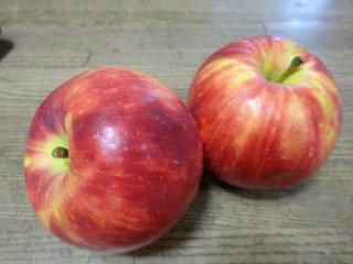 DSC08971.JPG