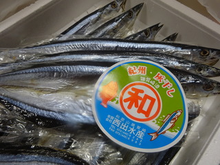 DSC09263.JPG