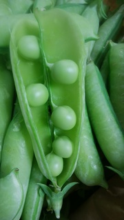 うすい豌豆.jpg