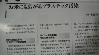 お米のプラスチック添加物汚染.jpg