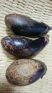 かわにひび.jpg