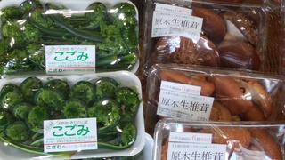 こごみ原木しいたけ.jpg