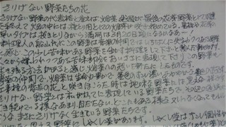 さりげない野菜お便り (2).jpg