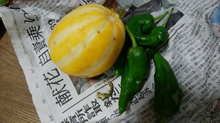 しし唐佐久間 甜瓜 山科.jpg
