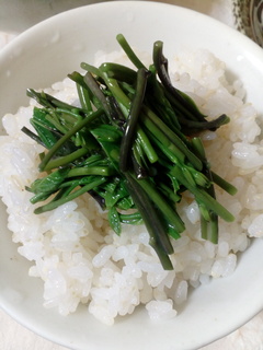 アケビの芽ご飯と.jpg