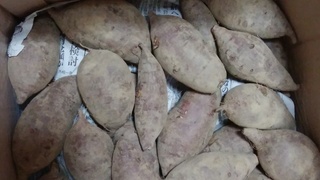 シルクスイート.jpg